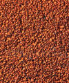laterite